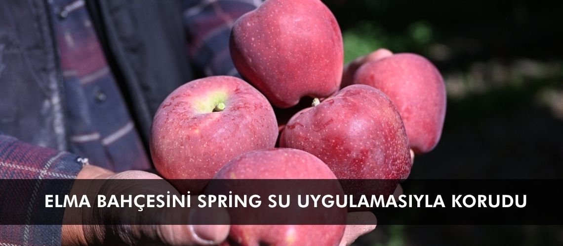 Elma bahçesini spring su uygulamasıyla korudu