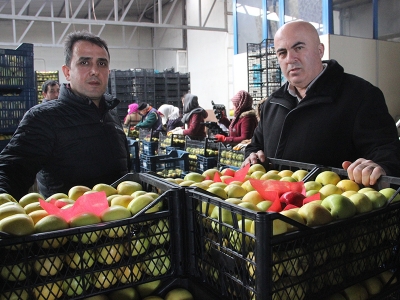 Karaman elması Libya yolcusu