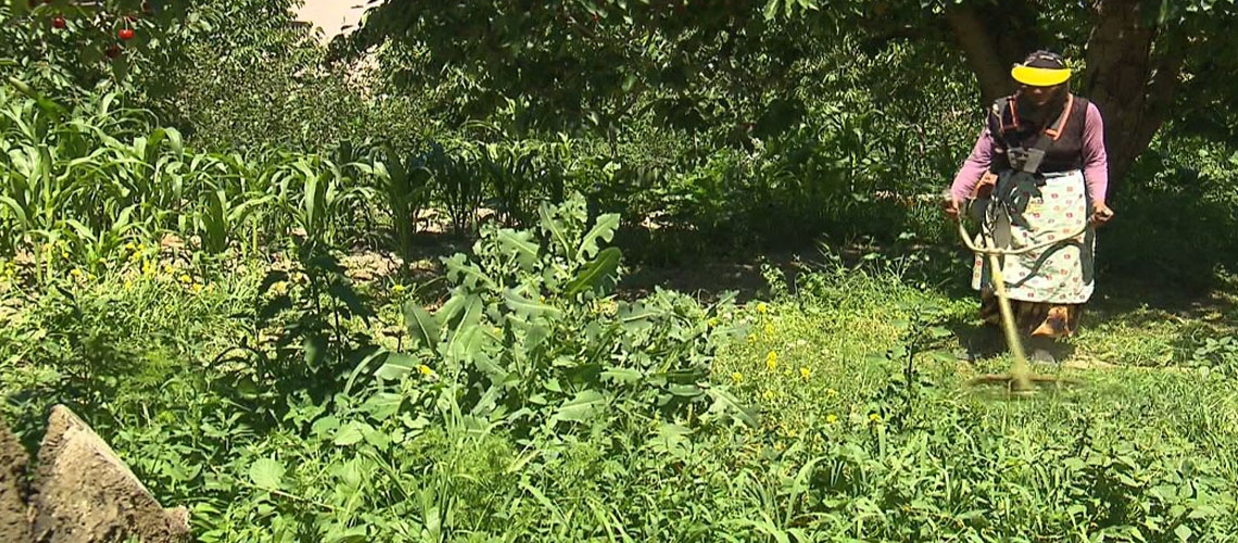 Emine ÇELİKTEN - KONYA