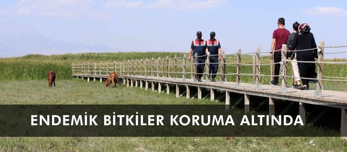 Endemik bitkiler koruma altında
