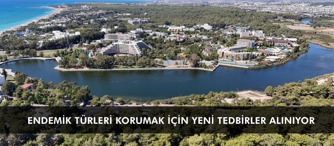 Endemik türleri korumak için yeni tedbirler alınıyor