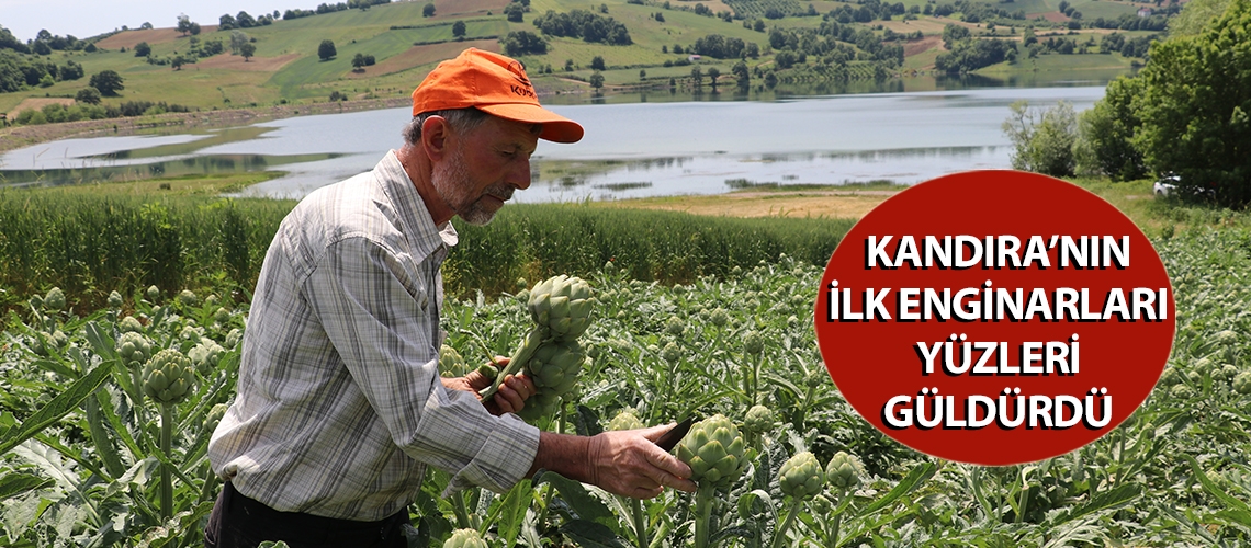 Kandıra’nın ilk enginarları yüzleri güldürdü