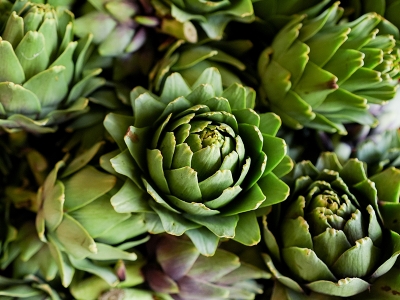 Enginarda hasat mesaisi yoğunlaştı