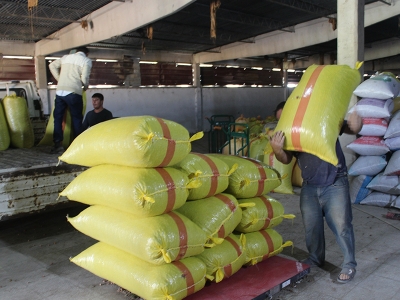 Tokat fındıkta Karadeniz’le yarışan verimi yakaladı