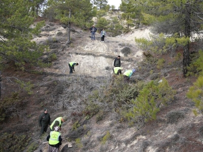 Orman işçileri erozyona karşı da sahada