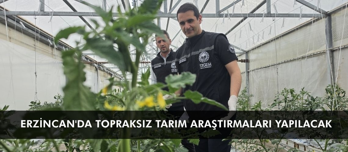 Erzincan'da topraksız tarım araştırmaları yapılacak