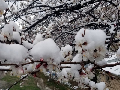 Erzincan’a don uyarısı