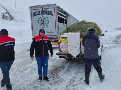 Mahsur kalan hayvanları samanla beslediler