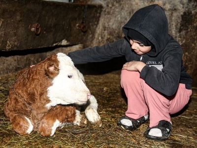 Dede mesleğiyle aile çiftliği kurdu