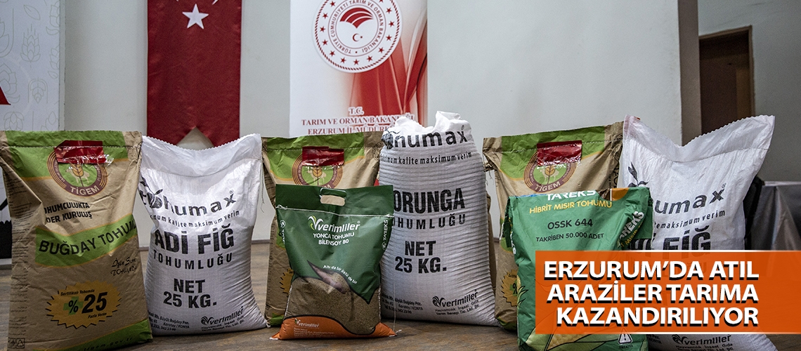 Erzurum’da atıl araziler tarıma kazandırılıyor