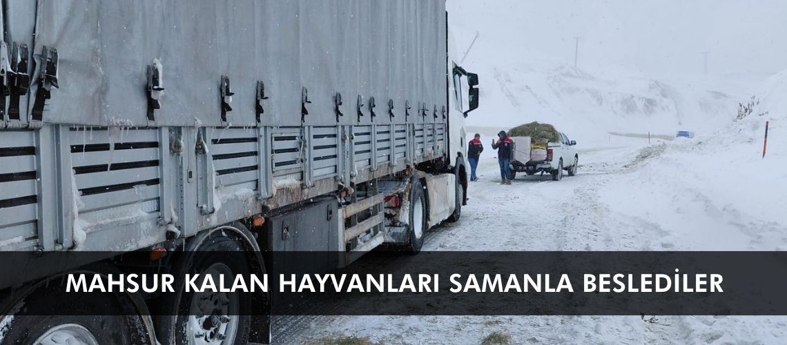 Mahsur kalan hayvanları samanla beslediler