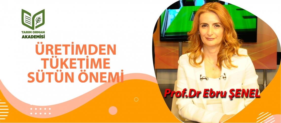 Üretimden Tüketime Sütün Önemi