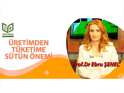 Üretimden Tüketime Sütün Önemi