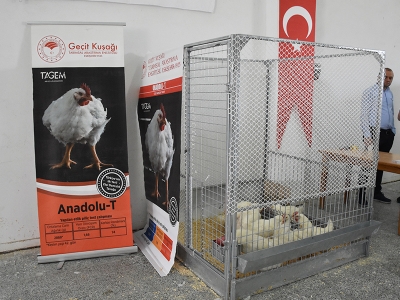 Eskişehir’de yeni teknolojiler görücüye çıktı