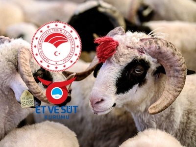 Sözleşmeli üretimle pazar ve fiyat garantisi