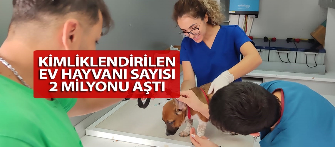 Kimliklendirilen ev hayvanı sayısı 2 milyonu aştı