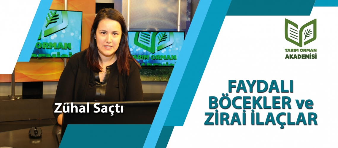 FAYDALI BÖCEKLER ve ZİRAİ İLAÇLAR