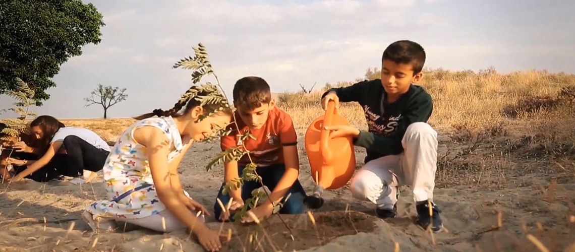 Fidan Nasıl Dikilir?