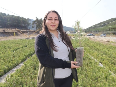 Yozgat’ın fidanları İç Anadolu’yu yeşertiyor