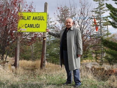 Bir fidanla başlayan hayaller orman oldu