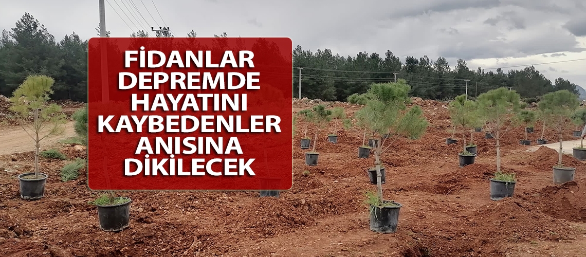 Fidanlar depremde hayatını kaybedenler anısına dikilecek