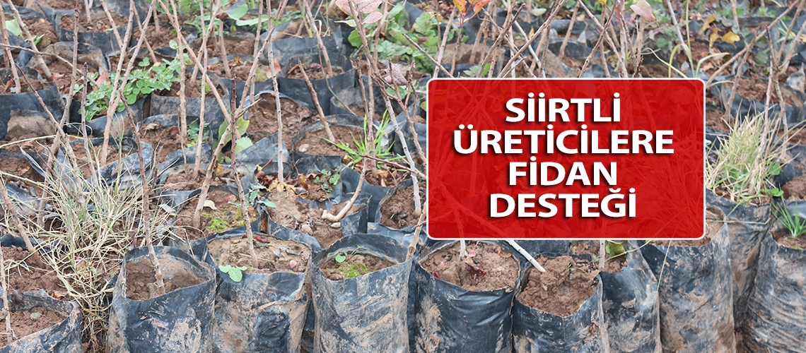 Siirtli üreticilere fidan desteği