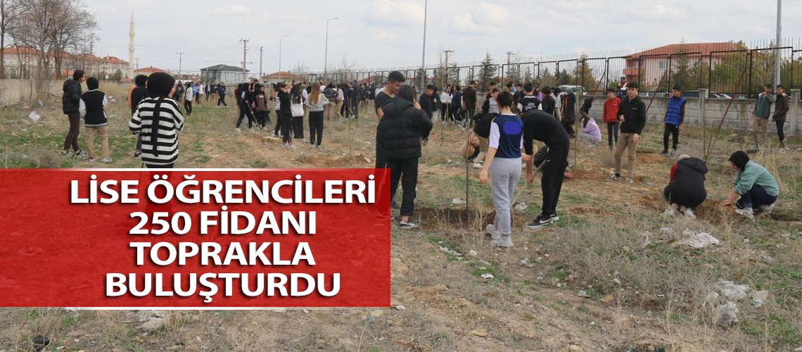 Lise öğrencileri 250 fidanı toprakla buluşturdu