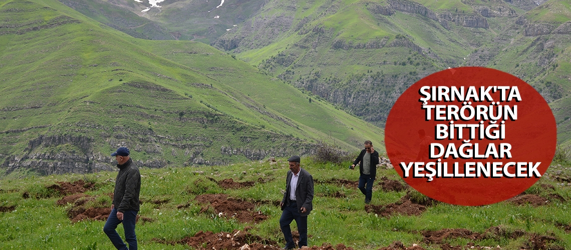 Şırnak'ta terörün bittiği dağlar yeşillenecek