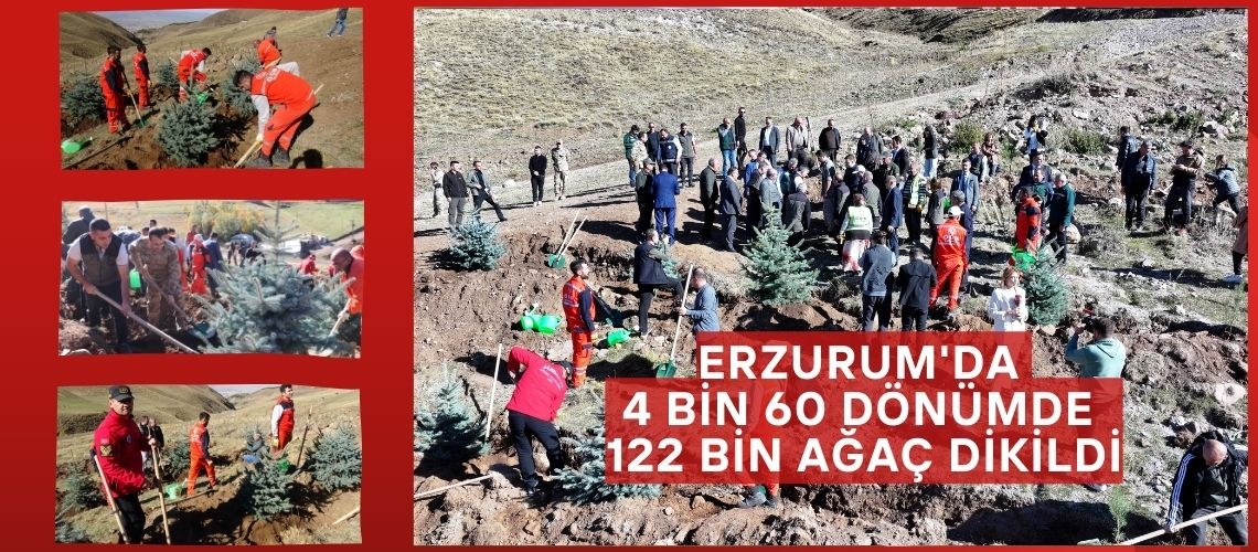 Erzurum'da 4 bin 60 dönümde 122 bin ağaç dikildi