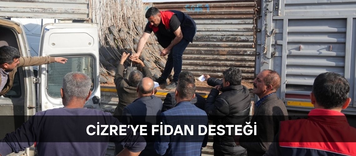 Cizre’ye fidan desteği