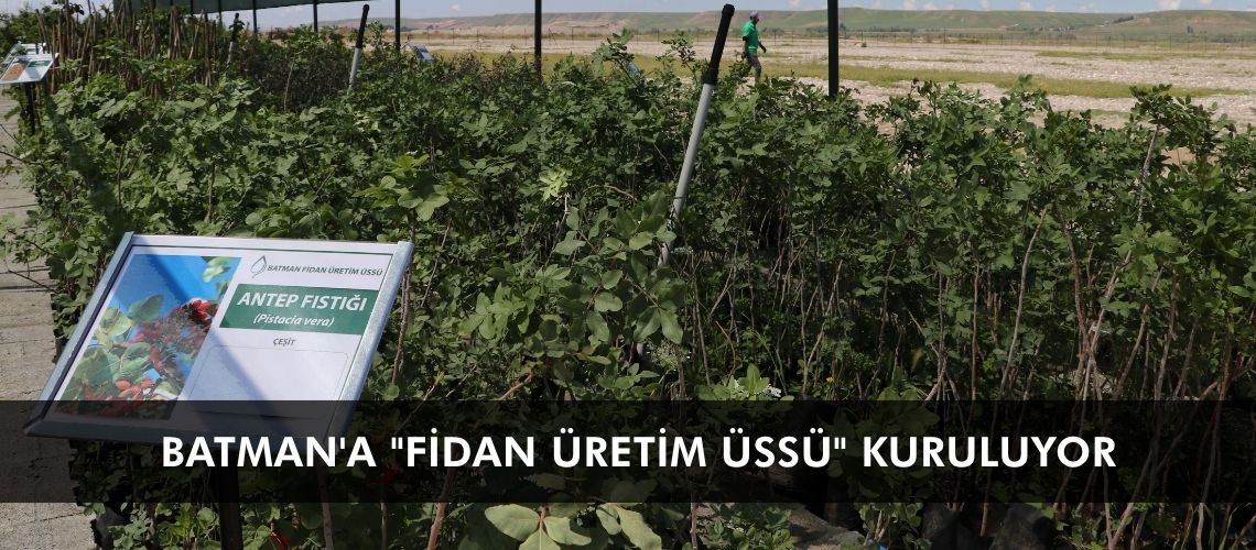 Batman'a 