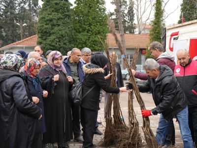 Sındırgı'da çiftçilere ceviz ve badem fidanı dağıtıldı