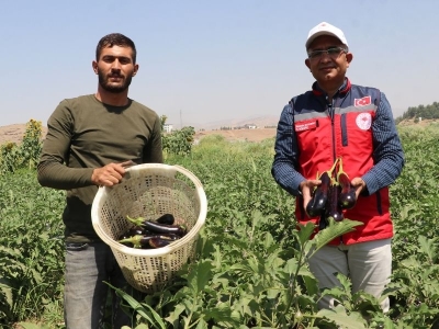 Siirt’te araziler fide desteğiyle bereketleniyor