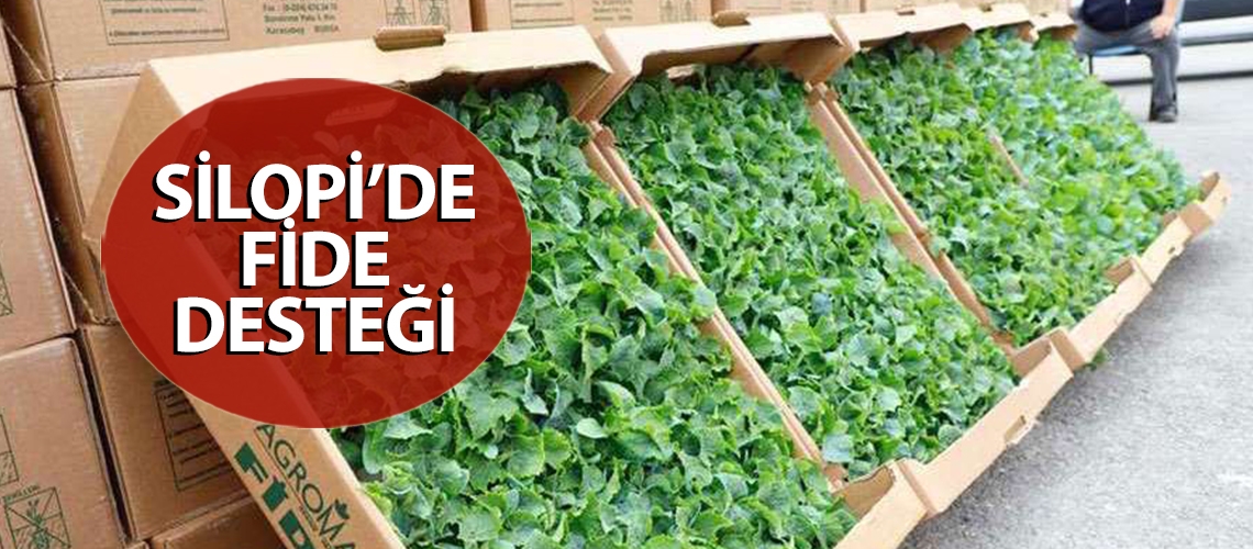 Silopi’de fide desteği