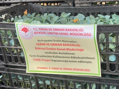 İstanbullu çiftçiye fide desteği