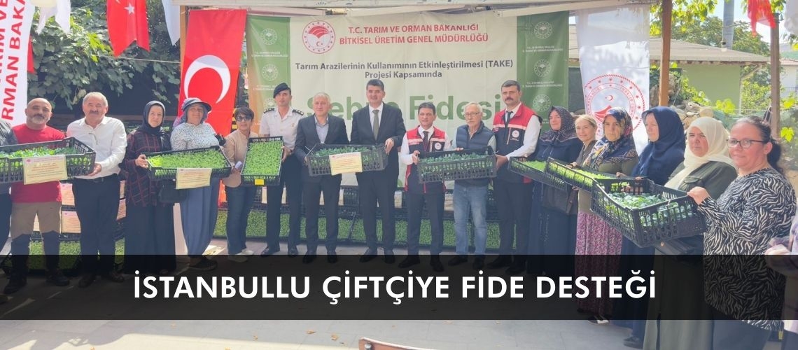 İstanbullu çiftçiye fide desteği