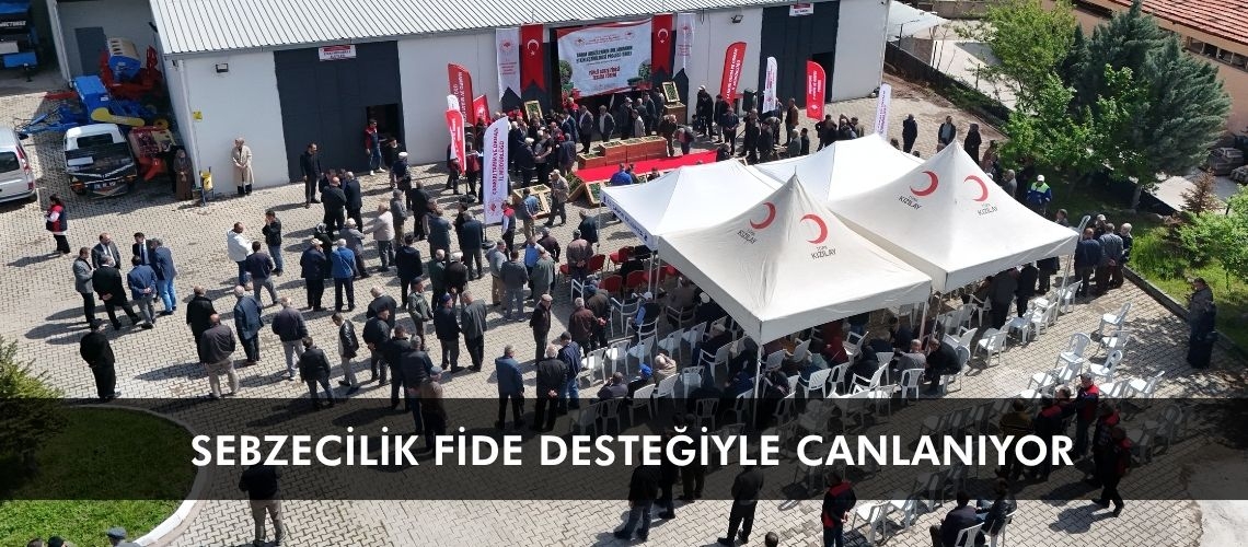 Sebzecilik fide desteğiyle canlanıyor