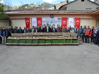 Gümüşhane’de sebzeciliğe fide desteği