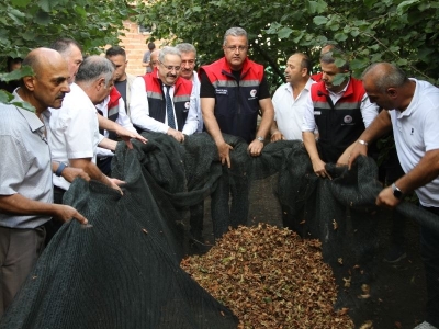 Fileli hasat maliyeti düşürüyor, kaliteyi artırıyor
