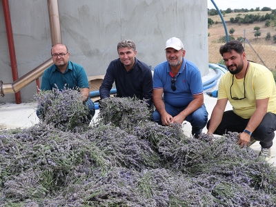 Uzmanlığı bıraktı ata mesleği çiftçiliğe döndü