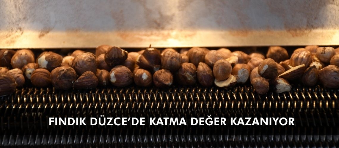 Fındık Düzce’de katma değer kazanıyor