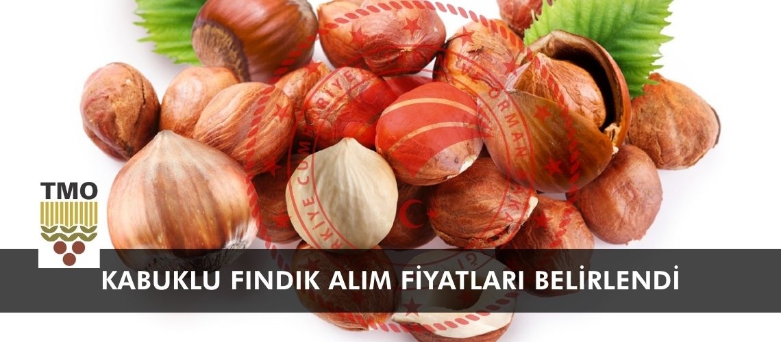 TMO, 2026-2027 sezonu kabuklu fındık alım fiyatlarını belirledi