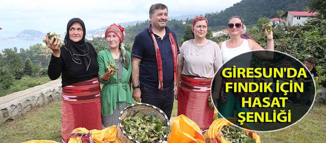 Giresun'da fındık için hasat şenliği