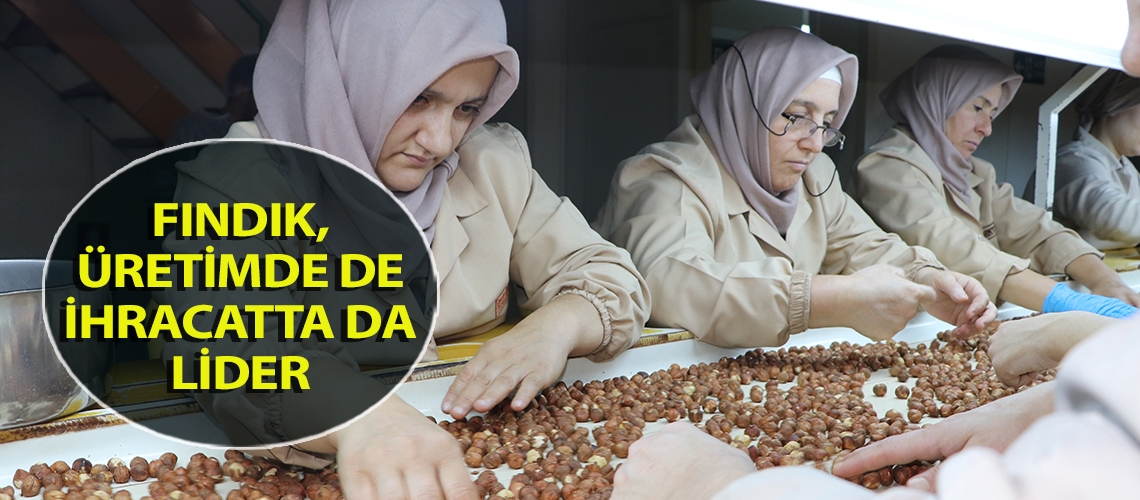 Fındık, üretimde de ihracatta da lider
