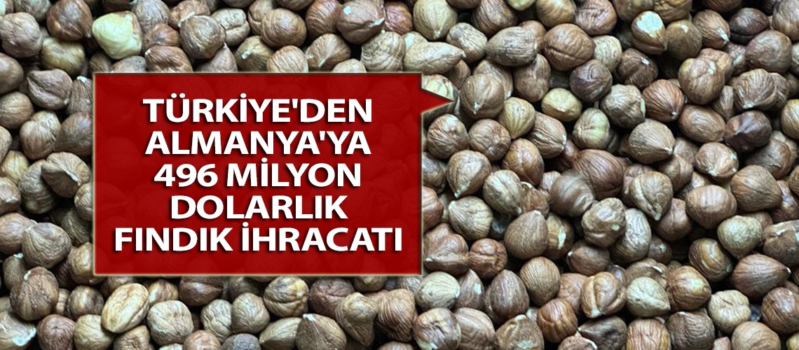 Türkiye'den Almanya'ya 496 milyon dolarlık fındık ihracatı