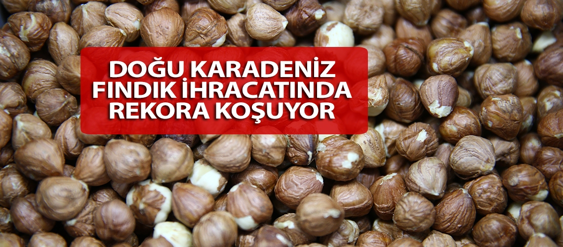 Doğu Karadeniz fındık ihracatında rekora koşuyor