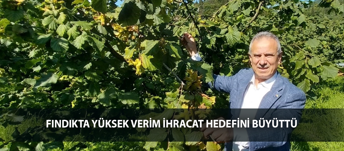 Fındıkta yüksek verim ihracat hedefini büyüttü