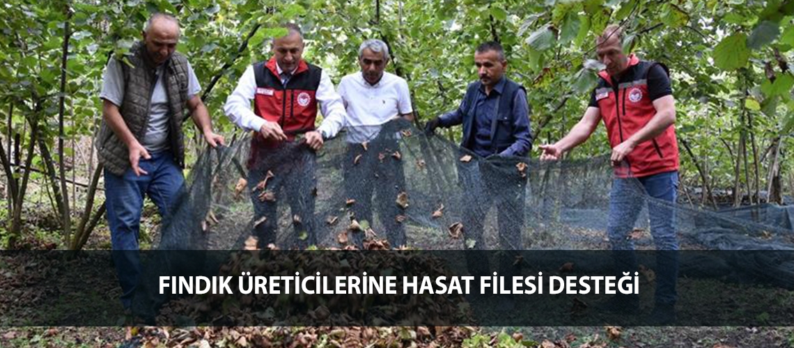 Fındık üreticilerine hasat filesi desteği