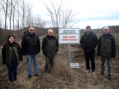 Türk fındığı fidanları Kastamonu’da yetiştiriliyor