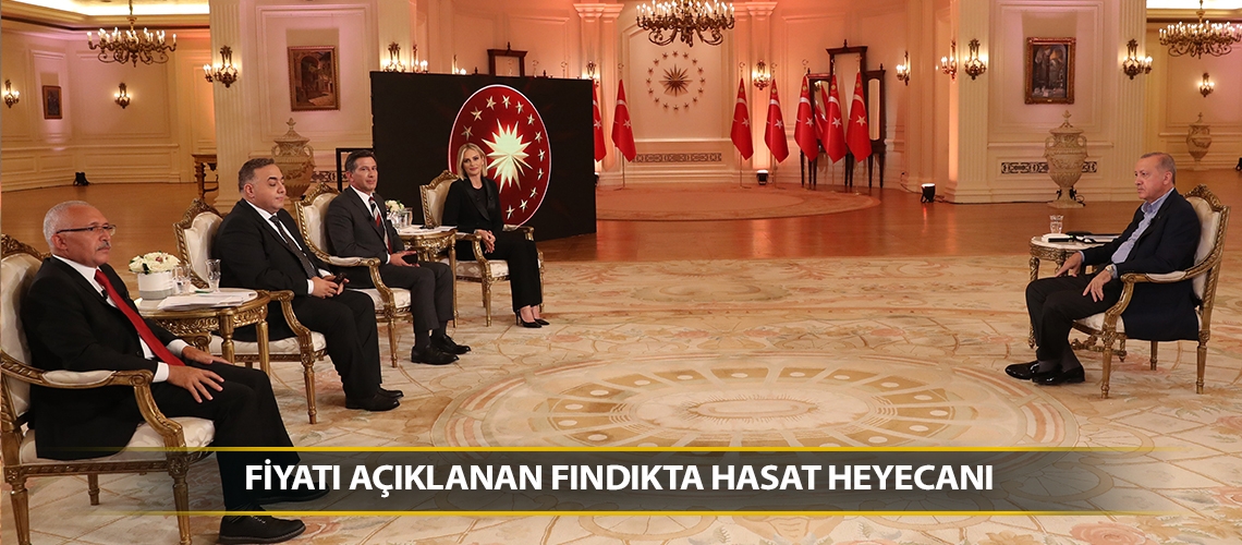 Fiyatı açıklanan fındıkta hasat heyecanı